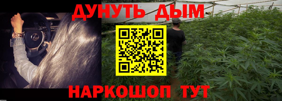 Каннабис тримм  Вход с VPN  Каннабис индика  Троицк 